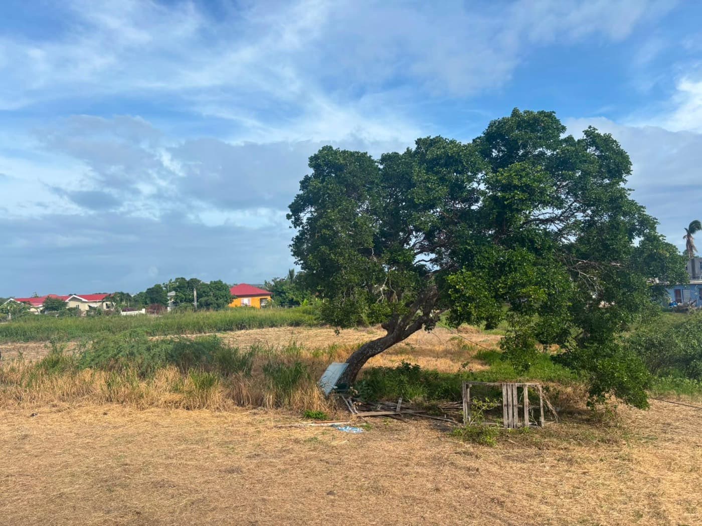 Open space & tropical greenery